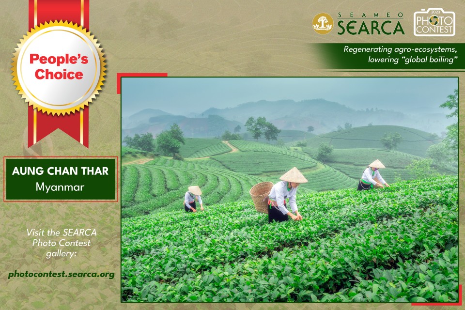 17th SEARCA Photo Contest winners declared