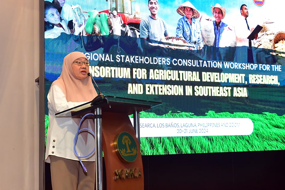 SEARCA and ASEAN consult stakeholders, poised to establish agri research consortium