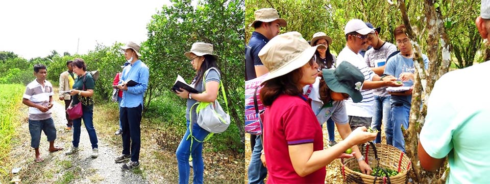 The project team conducted informal interviews to gather preliminary data.