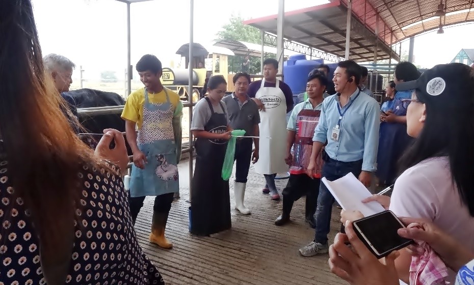 Participants were given a demonstration on artificial insemination of dairy cattle at Aura Farm in Khon Kaen Province.