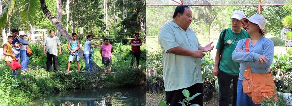 Demonstration farms in Inopacan, Leyte.