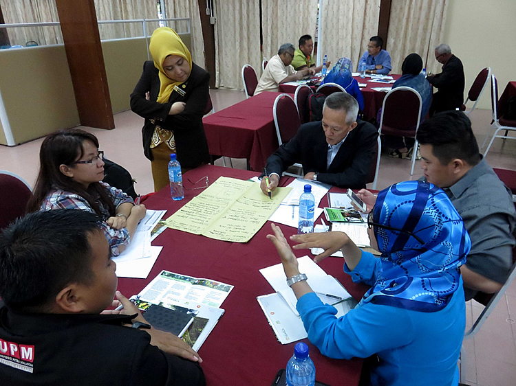 Participants tackle the status and challenges of social forestry in Malaysia during the focus group discussion.