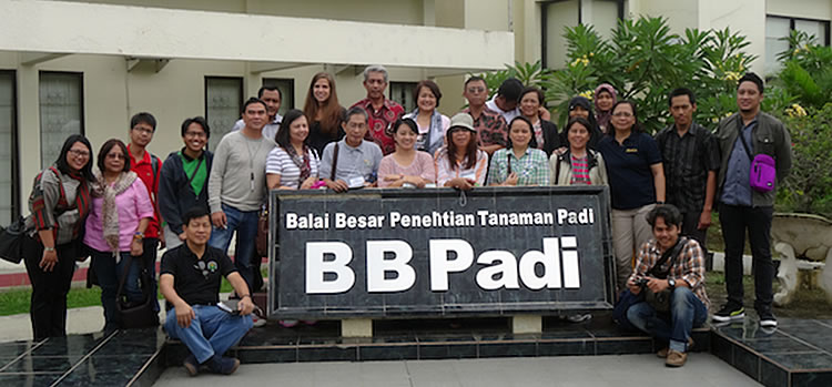 Photo above shows the Indonesia Study Mission participants with Dr. Ridwan Rachmat (Back row, 5th from left), Head of Research Collaboration and Dissemination Division, International Center for Rice Research (ICRR), Subang, West Java, Indonesia.