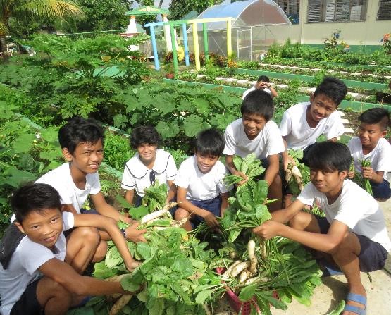 schoolgardens1