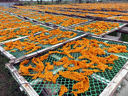 Sun drying of rice crackers in Leganes, Iloilo.