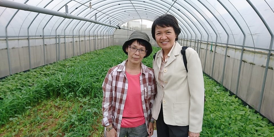 Visit to an organic farm and farmers at Taoyuan, Taiwan, where farmers are encouraged to invest in greenhouses through agricultural loans provided by the government.