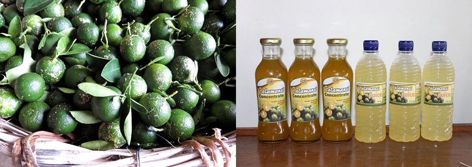 Calamansi products in Victoria, Oriental Mindoro