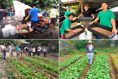 Start-up taps insects to make feed and fertilizer from waste