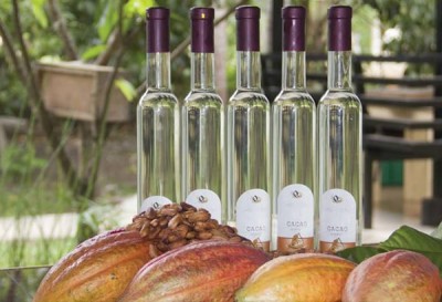 SEARCA and DA-BAR study showcases cacao wine for potential investors