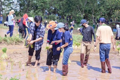 UC empowers sustainable agricultural solutions in difficult environments during its 2023 Summer School