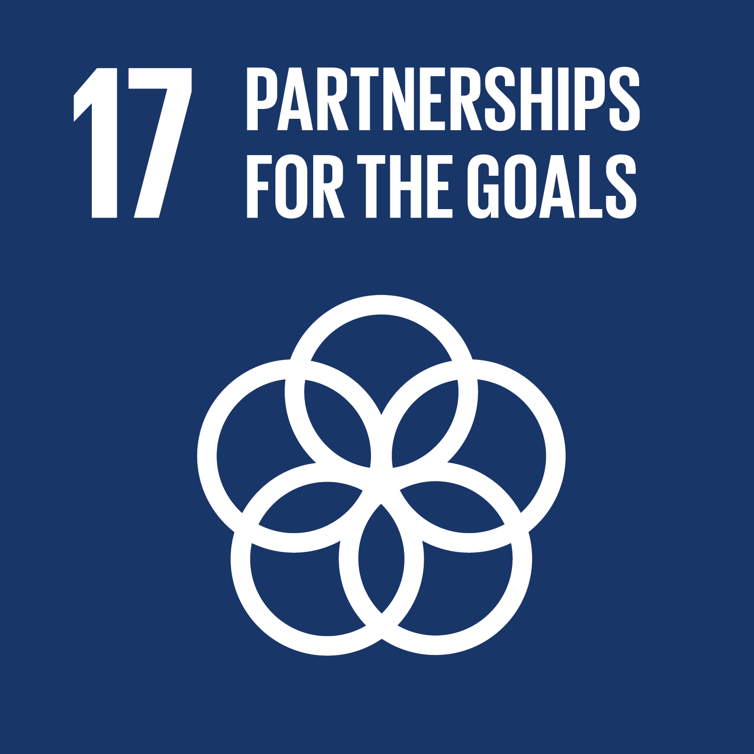 Sustainable Development Goal: Partnerships for the Goals